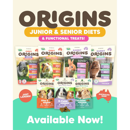 VETAFARM Origins Vita C Chews For Guinea Pigs 60 Pack