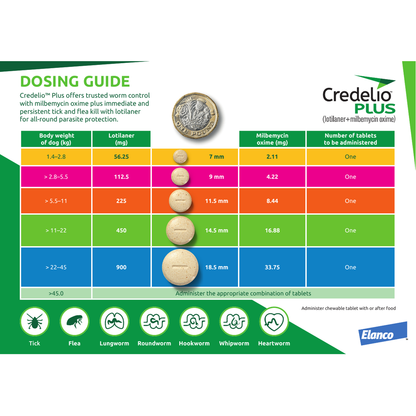 CREDELIO PLUS for Dogs 22-45kg Blue