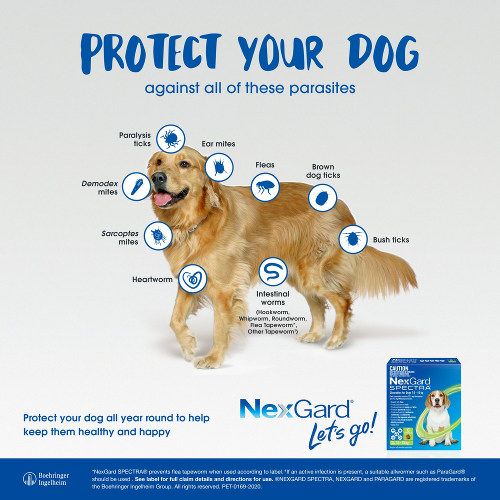 NEXGARD SPECTRA Flea, Tick & Worming Chews For Dogs 2-3.5kg