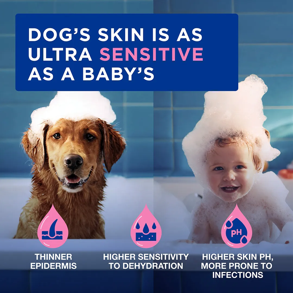 DOUXO Skin And Coat Spa Ultra Safe Itch Soothing Dog Shampoo 250ml
