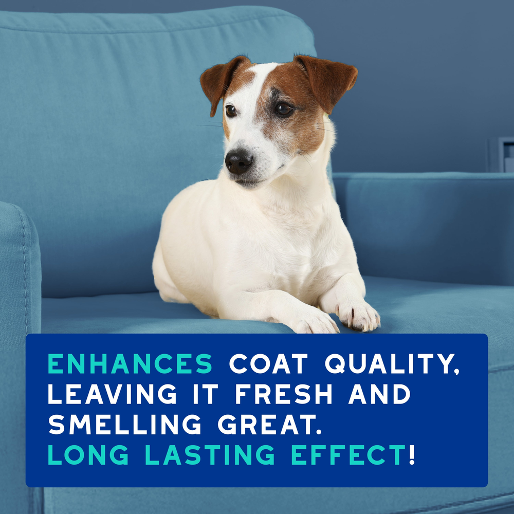 DOUXO Skin And Coat Spa Ultra Safe Odour Control Dog Shampoo 250ml