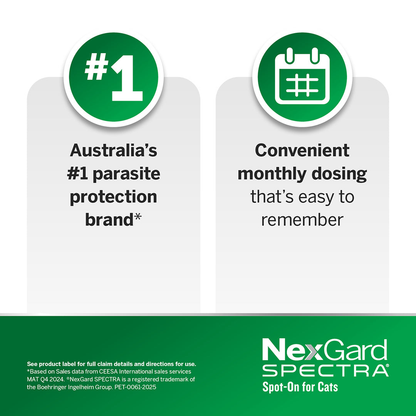 NEXGARD SPECTRA Flea, Tick & Worming Spot On For Cats 2.5-7.5kg
