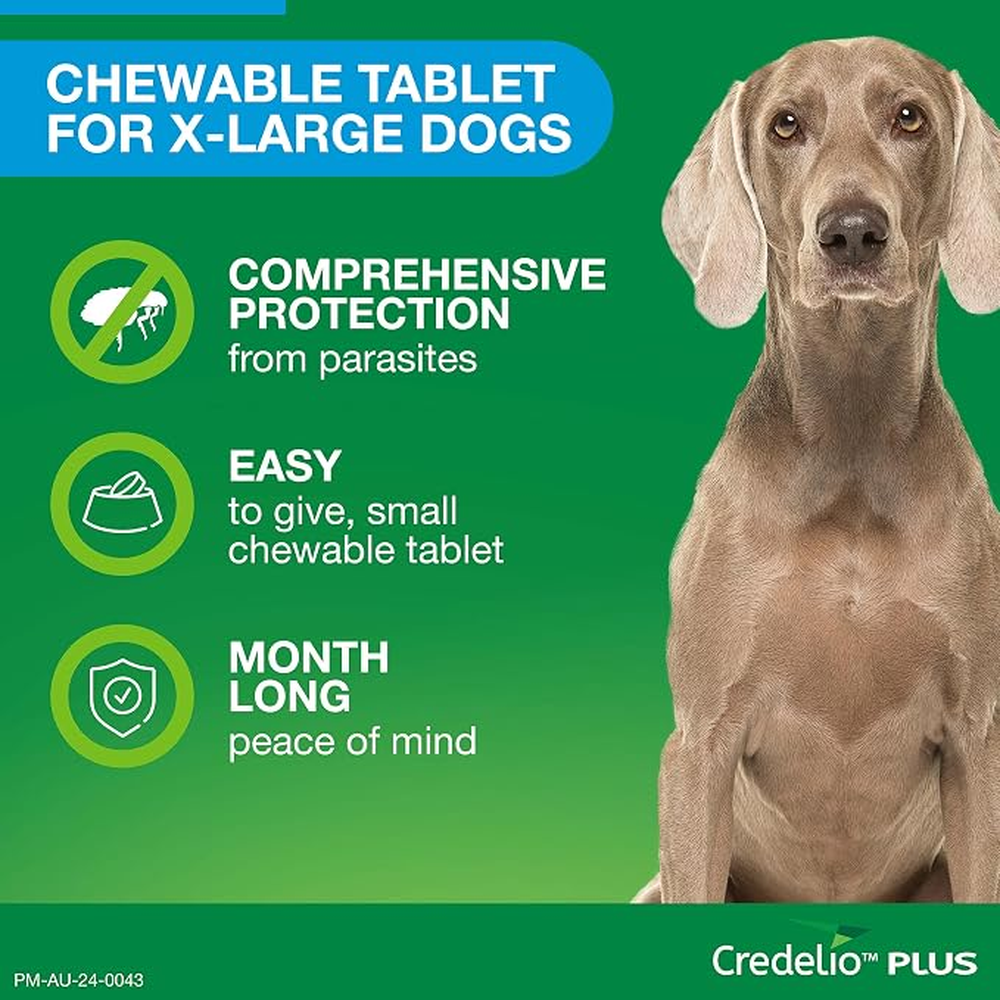 CREDELIO PLUS for Dogs 22-45kg Blue