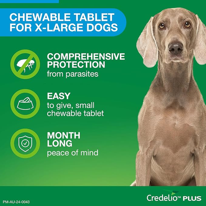 CREDELIO PLUS for Dogs 22-45kg Blue