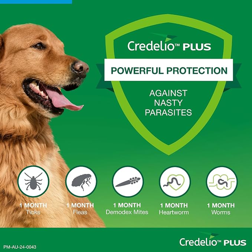 CREDELIO PLUS for Dogs 22-45kg Blue