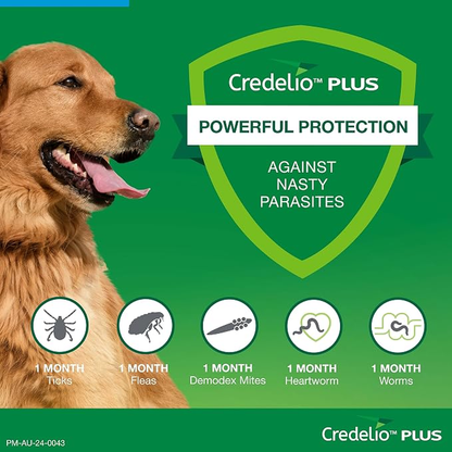 CREDELIO PLUS for Dogs 22-45kg Blue
