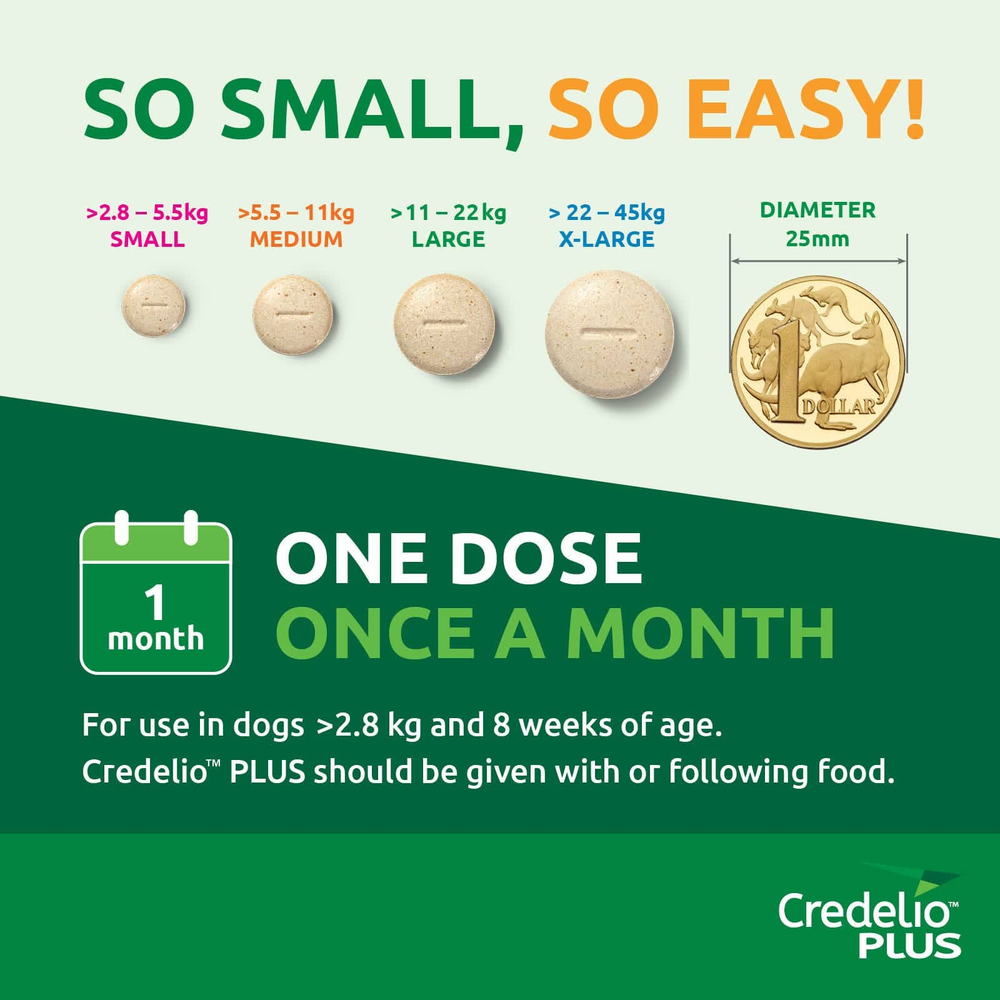 CREDELIO PLUS for Dogs 5.5-11kg Orange