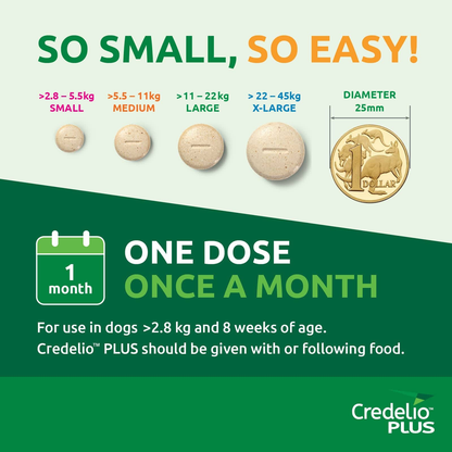 CREDELIO PLUS for Dogs 5.5-11kg Orange