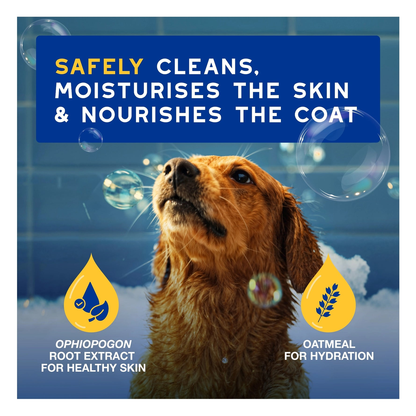 DOUXO Skin And Coat Spa Ultra Safe Hydrating Oatmeal Dog Shampoo 250ml