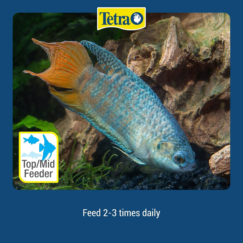TetraColor Tropical Flakes 62g
