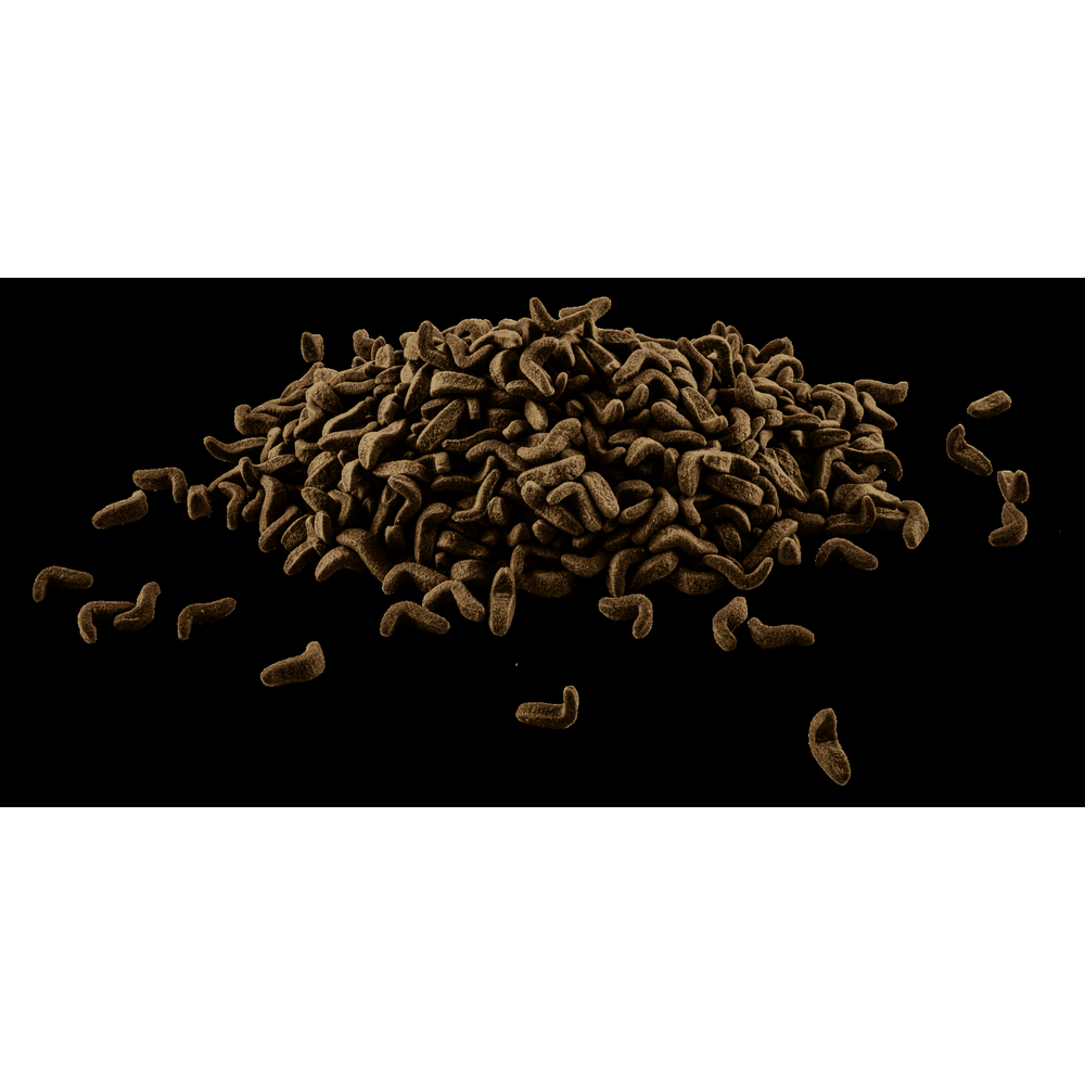 Tetra ReptoMin Floating Food Sticks 270g