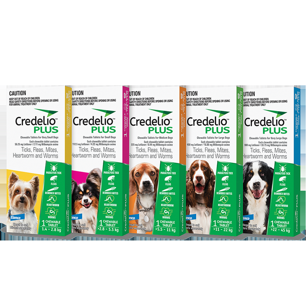 CREDELIO PLUS for Dogs 11-22kg Green