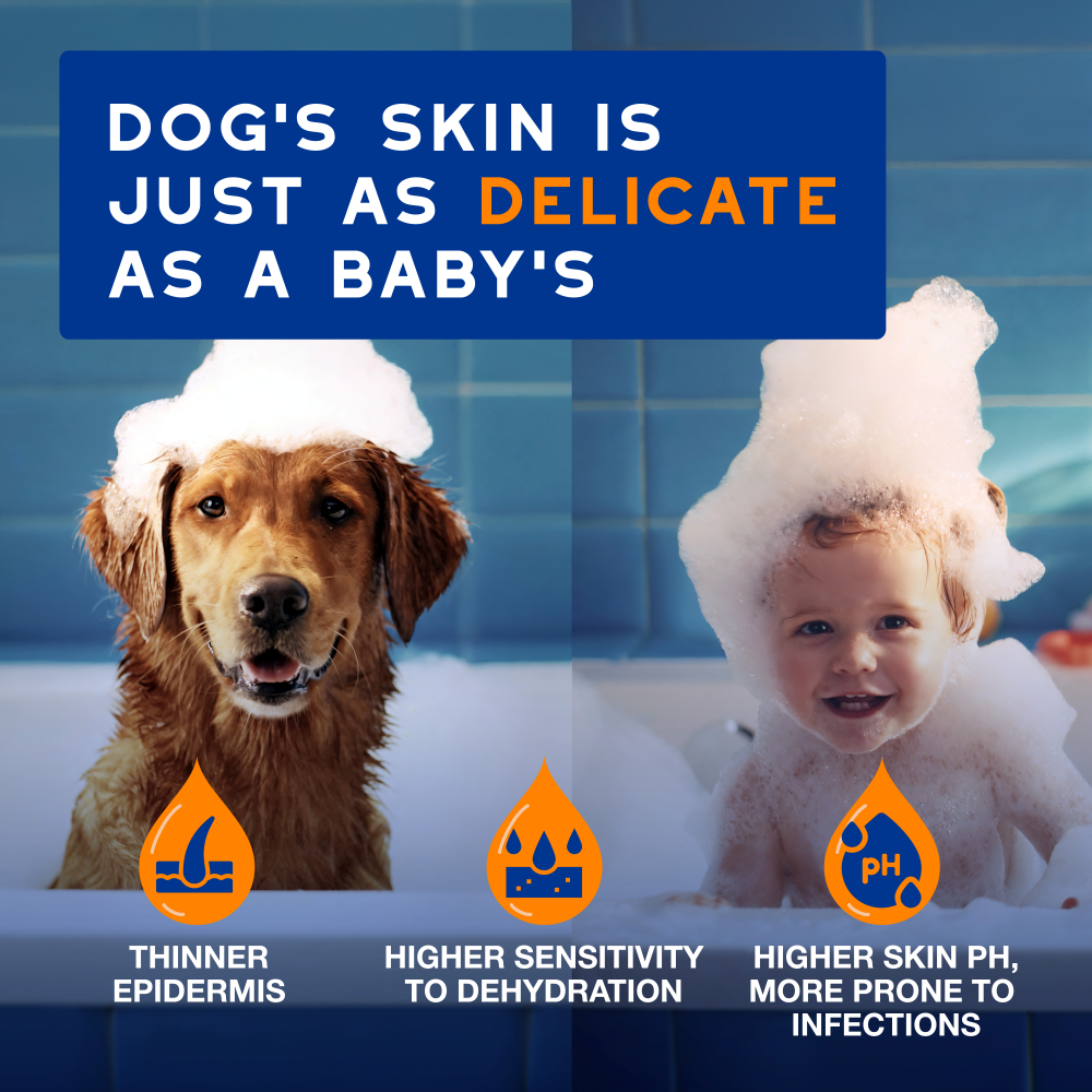DOUXO Skin And Coat Spa Ultra Safe Dog Detangling Spray 295ml