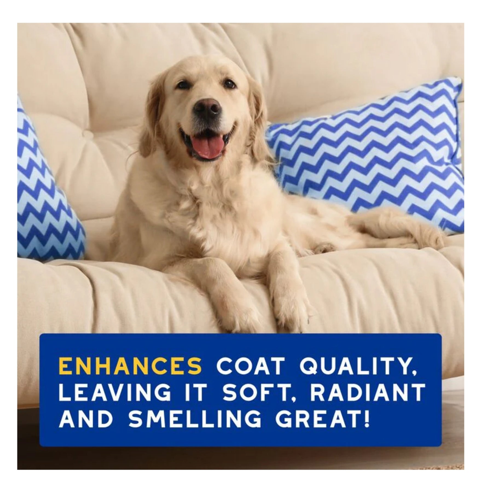 DOUXO Skin And Coat Spa Ultra Safe Hydrating Oatmeal Dog Shampoo 250ml