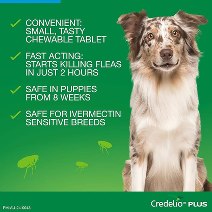 CREDELIO PLUS for Dogs 22-45kg Blue