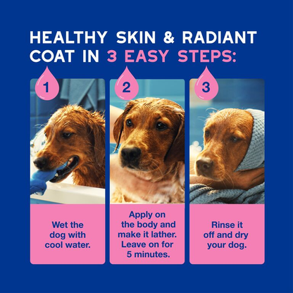 DOUXO Skin And Coat Spa Ultra Safe Itch Soothing Dog Shampoo 250ml