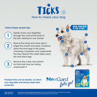 NEXGARD SPECTRA Flea, Tick & Worming Chews For Dogs 2-3.5kg