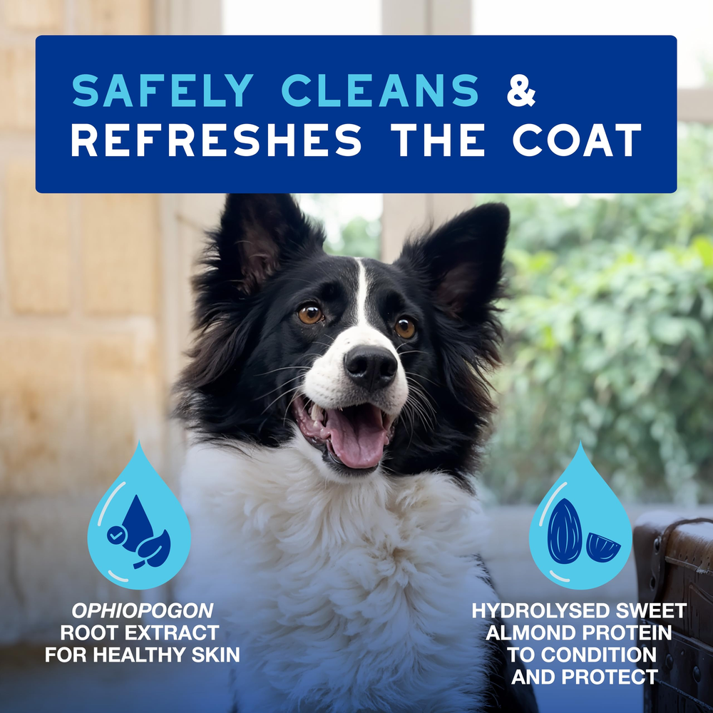 DOUXO Skin And Coat Spa Ultra Safe Dog Leave On Mousse 150ml