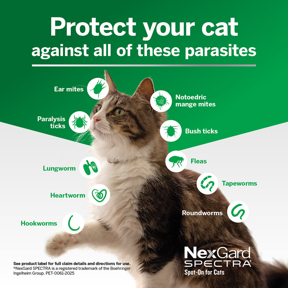 NEXGARD SPECTRA Flea, Tick & Worming Spot On For Cats 2.5-7.5kg