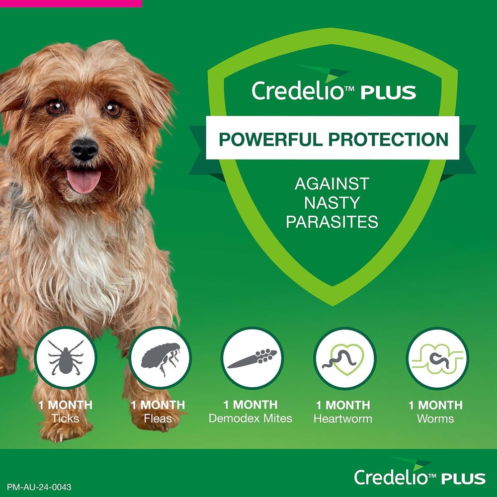 CREDELIO PLUS for Dogs 2.8-5.5kg Pink