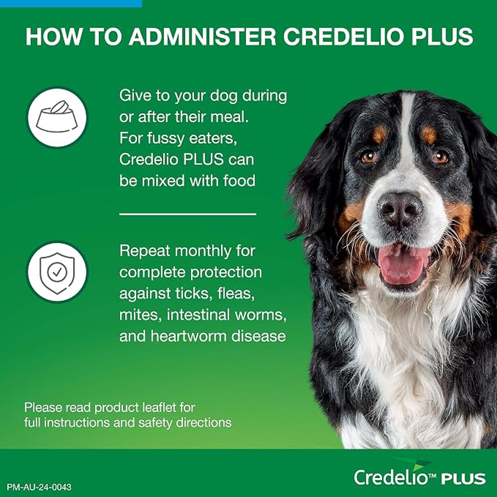 CREDELIO PLUS for Dogs 22-45kg Blue