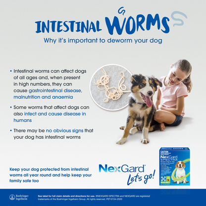 NEXGARD SPECTRA Flea, Tick & Worming Chews For Dogs 2-3.5kg