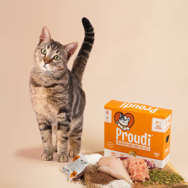 PROUDI Premium Frozen Turkey & Chicken Raw Cat Food 1.08Kg