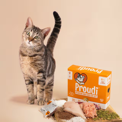 PROUDI Premium Frozen Turkey & Chicken Raw Cat Food 1.08Kg