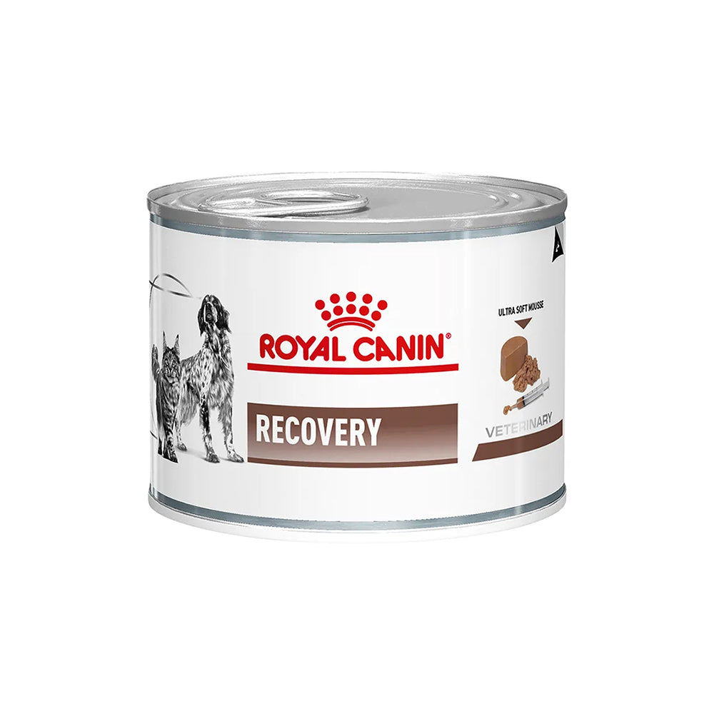 Royal Canin Veterinary Recovery Wet Dog & Cat Food 195g — 9003579307717 variant white-background front packshot
