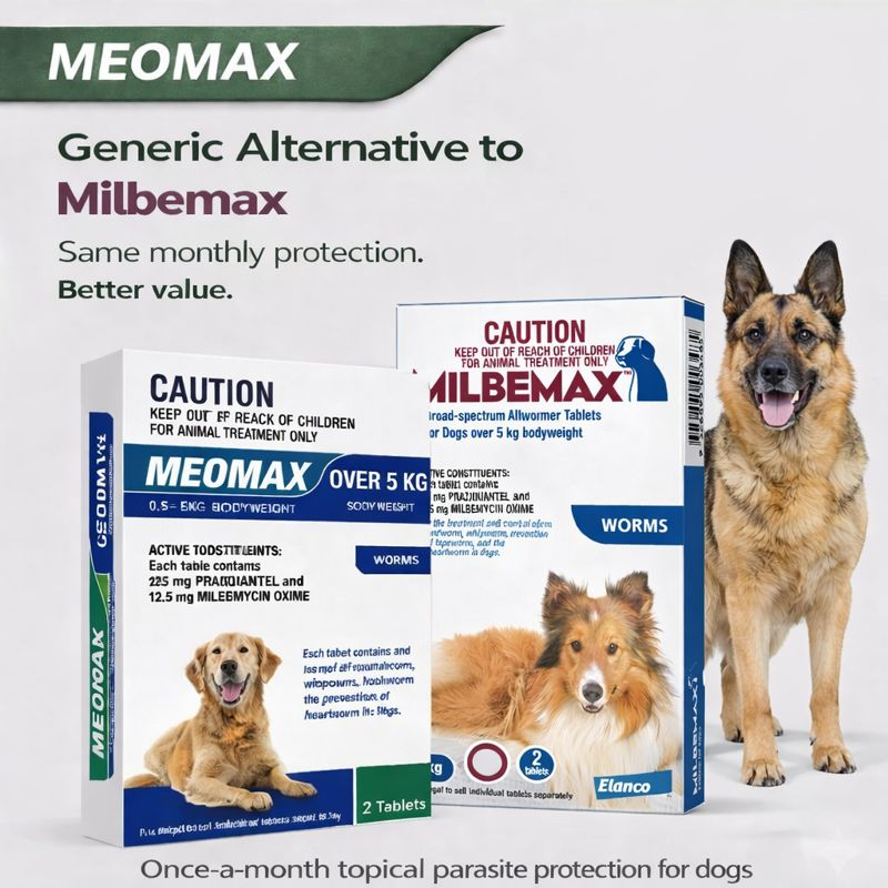 NEOMAX Allwormer Talets For Dogs Over 5kg