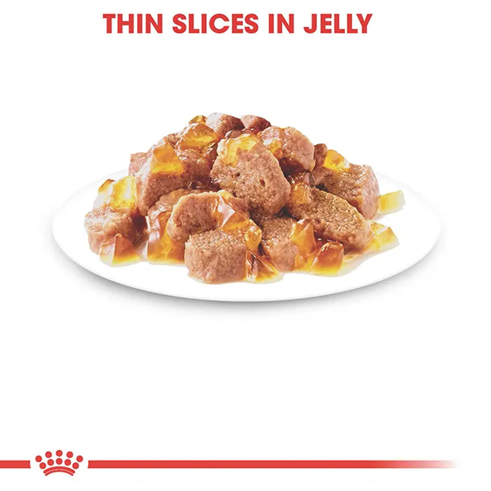 ROYAL CANIN Sterilised Adult Jelly Wet Cat Food product image
