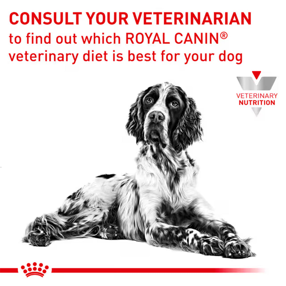 Royal Canin Gastrointestinal Low Fat Adult Dry Dog Food 6kg — product information image