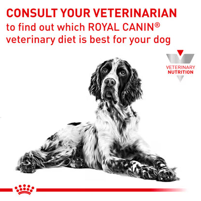 Royal Canin Gastrointestinal Low Fat Adult Dry Dog Food 6kg — product information image