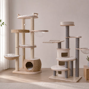 Cat Trees & Catios