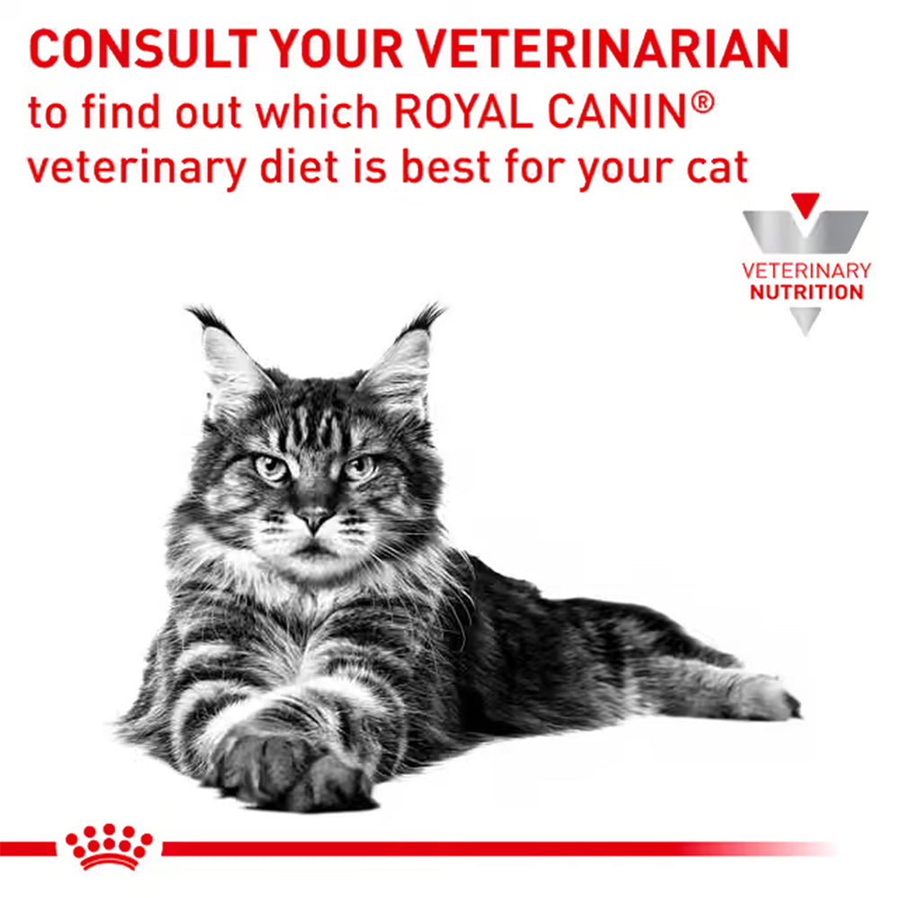 Royal Canin Veterinary Anallergenic Adult Dry Cat Food 2kg — product information image