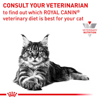 Royal Canin Veterinary Anallergenic Adult Dry Cat Food 2kg — product information image