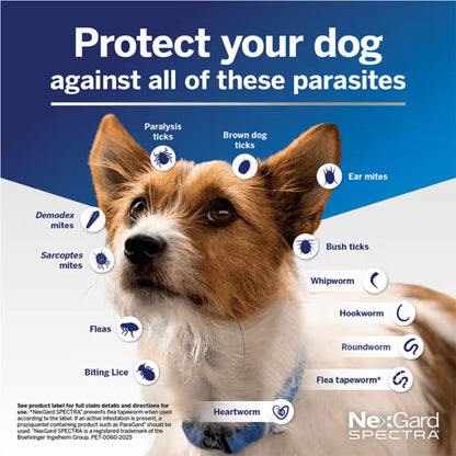 NexGard Spectra parasite protection coverage diagram