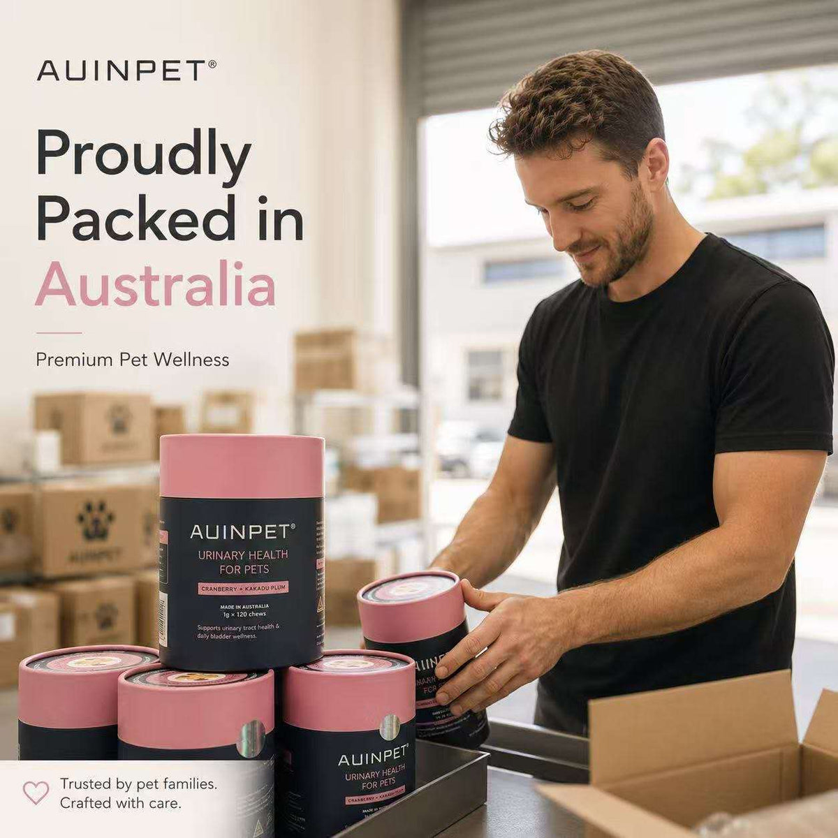 AUINPET Urinary Health Chews 120 g for dogs and cats