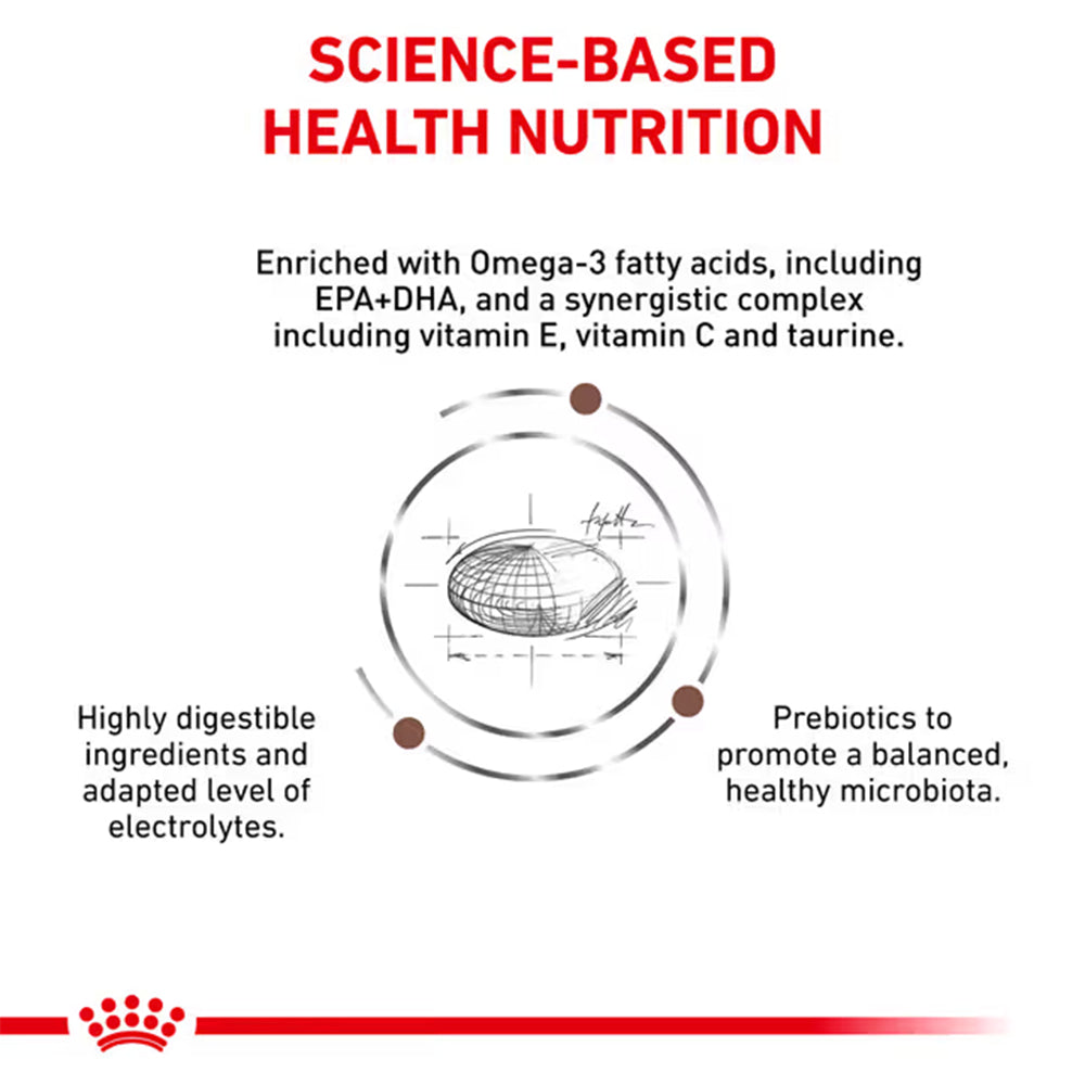 Royal Canin Gastrointestinal Low Fat Adult Dry Dog Food 6kg — product information image