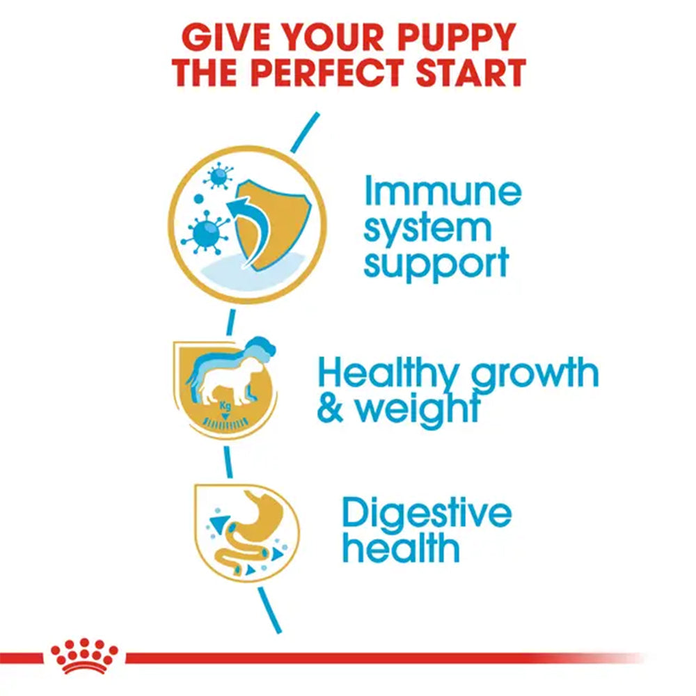 Royal Canin Labrador Retriever Puppy nutrition benefits