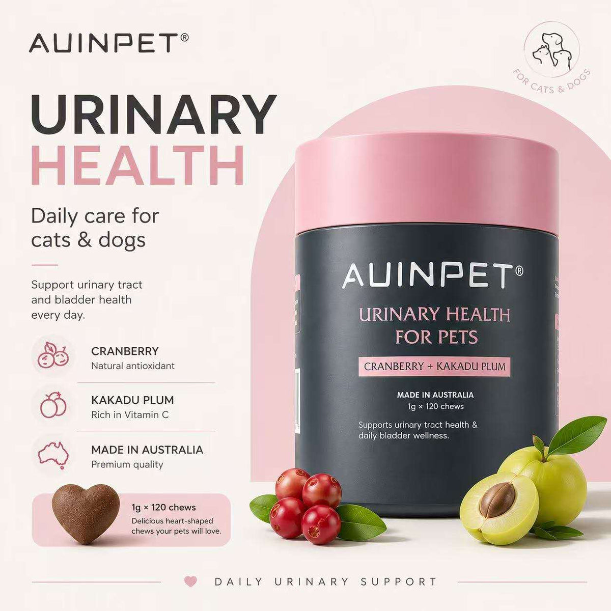 AUINPET Urinary Health Chews 120 g for dogs and cats