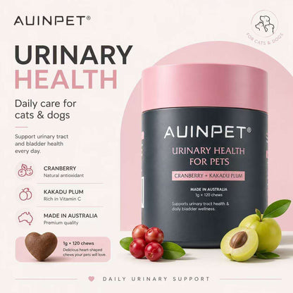 AUINPET Urinary Health Chews 120 g for dogs and cats