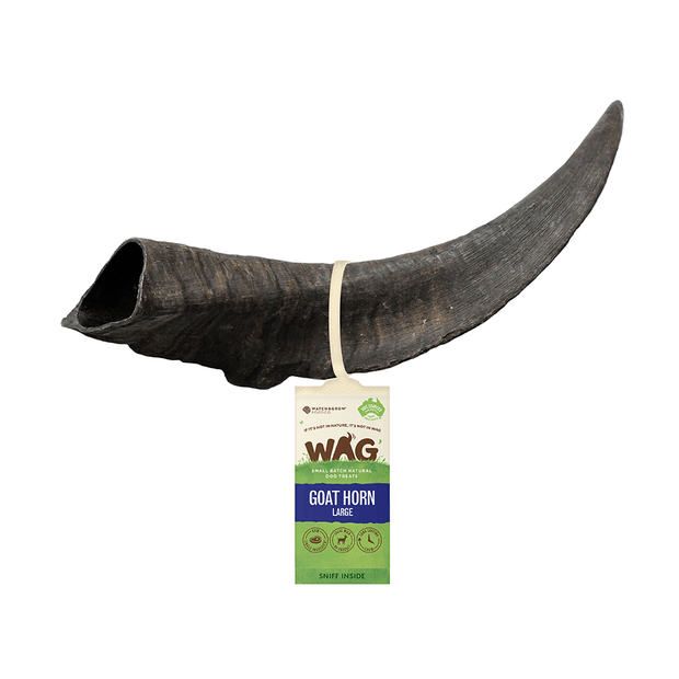 WAG Goat Horn Natural Dried Single Dog Treat