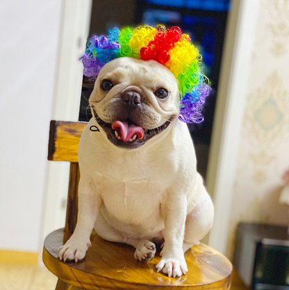 Funny Pet Costume Wig