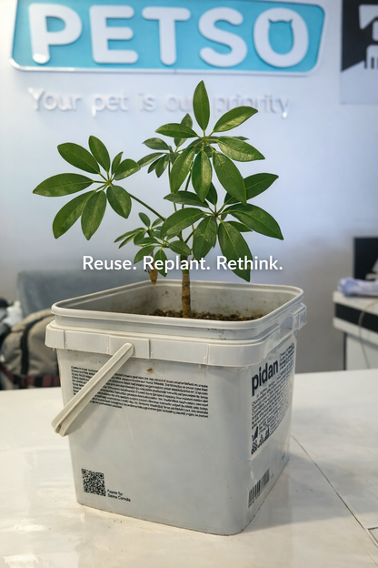 PIDAN 3-in-1 Mixed Cat Litter 5.2kg Reusable Bucket