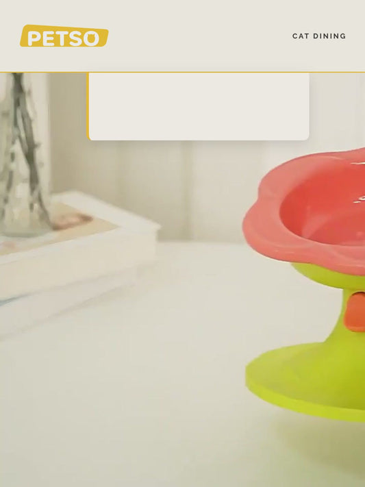 Adjustable Elevated Pet Bowl Ceramic Neck Support