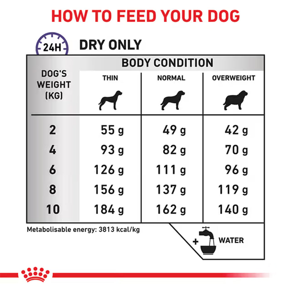 Royal Canin Dental Small Breed Adult Dry Dog Food 3.5kg — product information image