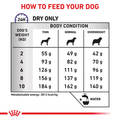 Royal Canin Dental Small Breed Adult Dry Dog Food 3.5kg — product information image