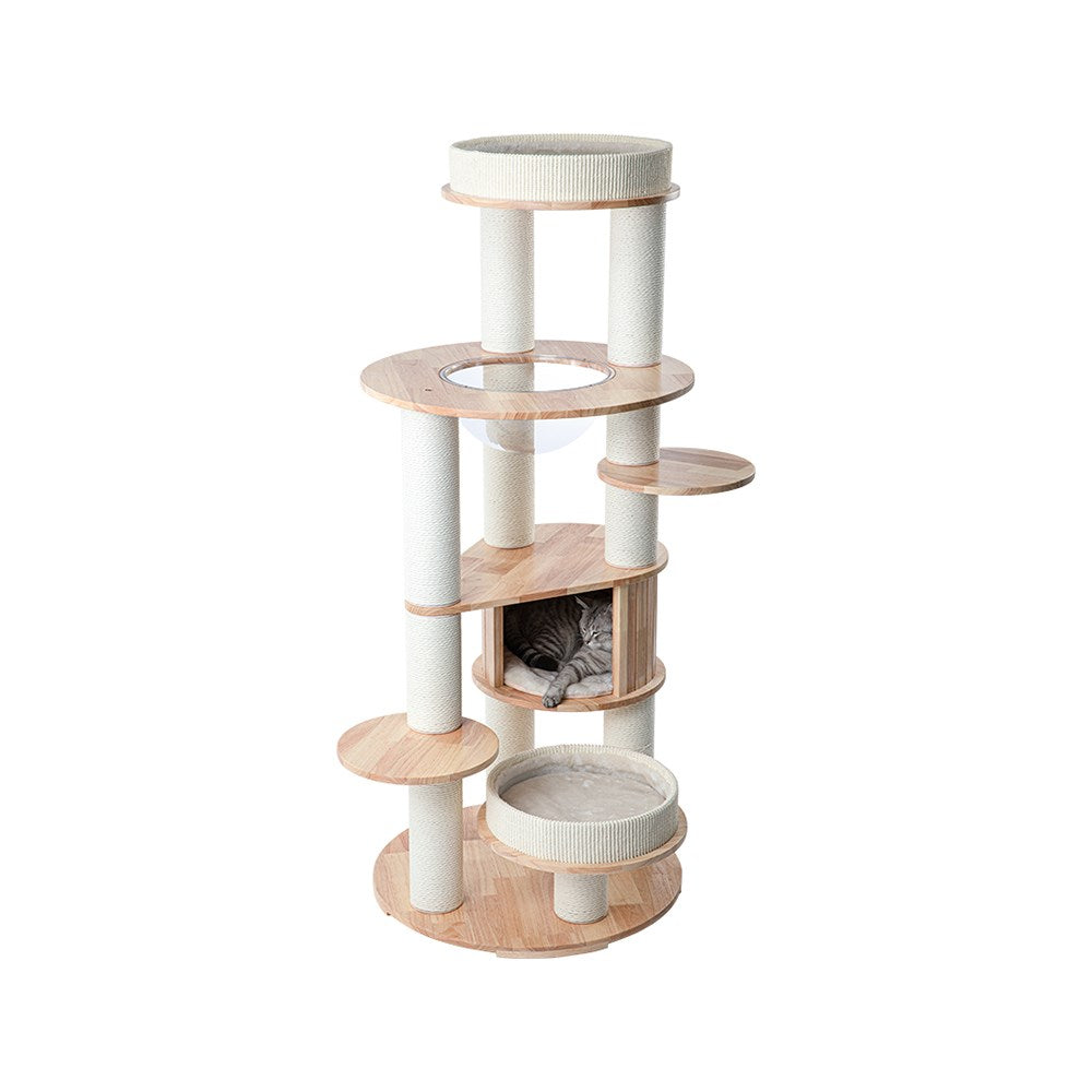HONEYPOTCAT MZ Varnished Solid Wood Cat Tower With Capsule - 163cm