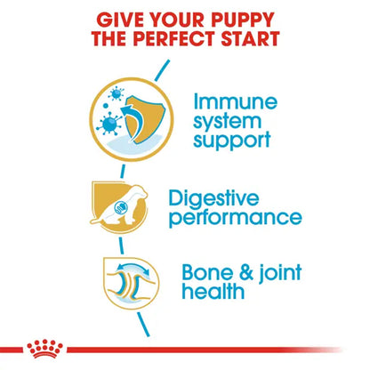 Royal Canin German Shepherd Puppy nutrition benefits